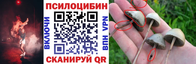 Галлюциногенные грибы Magic Shrooms Старый Оскол