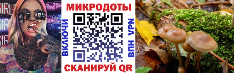 Псилоцибиновые грибы мухоморы  Купить  Старый Оскол 