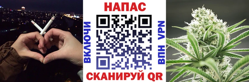 Конопля сатива  Купить закладки  Старый Оскол 